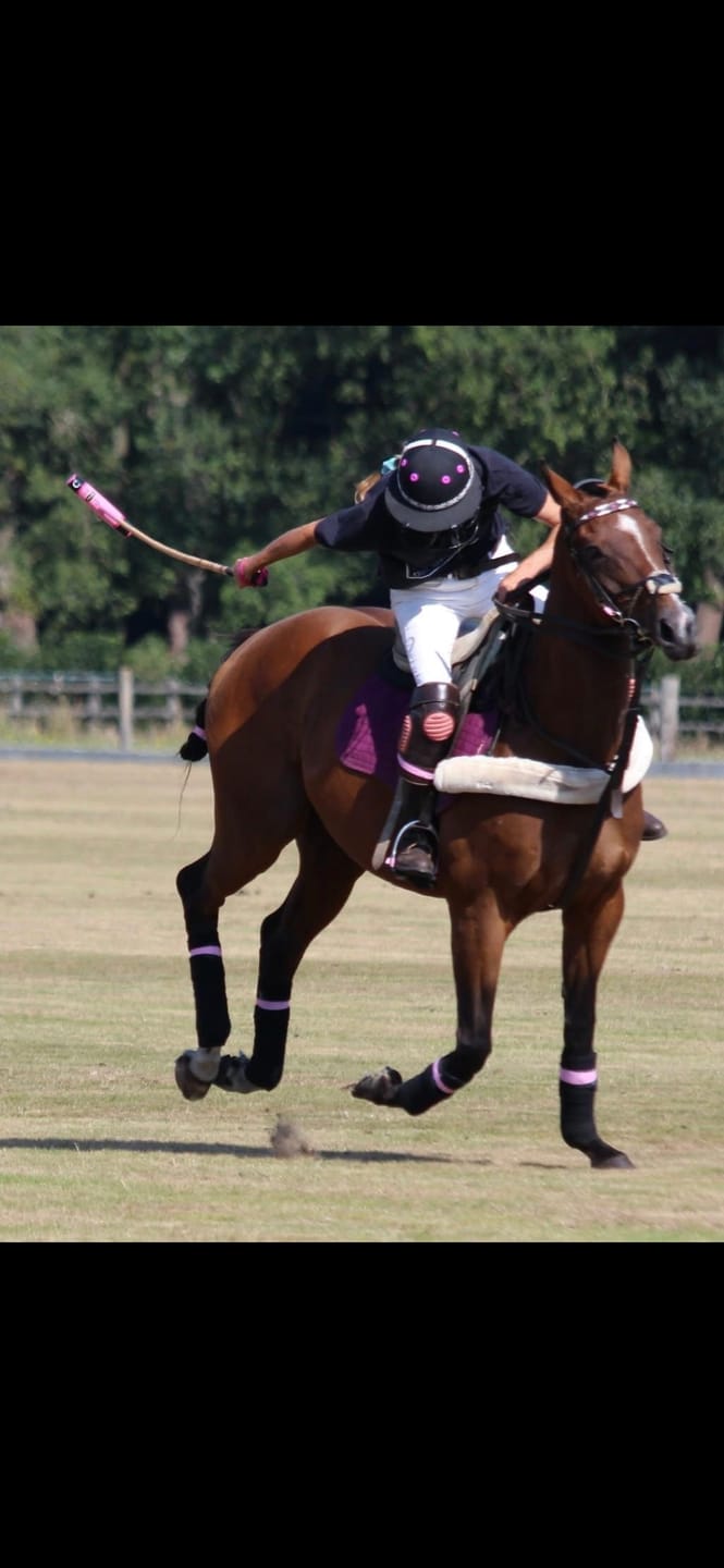 Customer photo review of Polo Mallet 50” to 54” - Painted