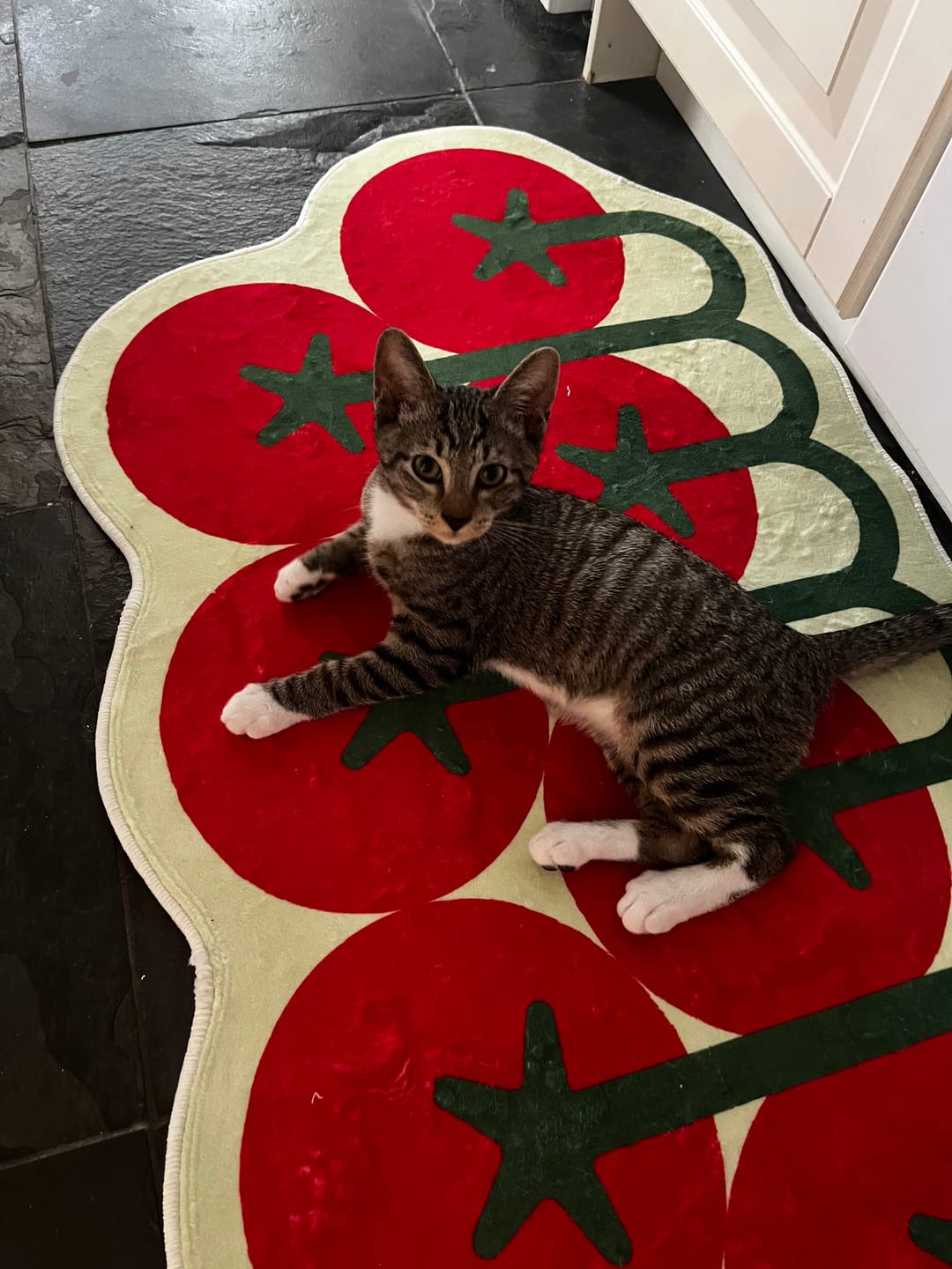 Customer photo review of Irregular Tomato Runner Rug by Johann Banta