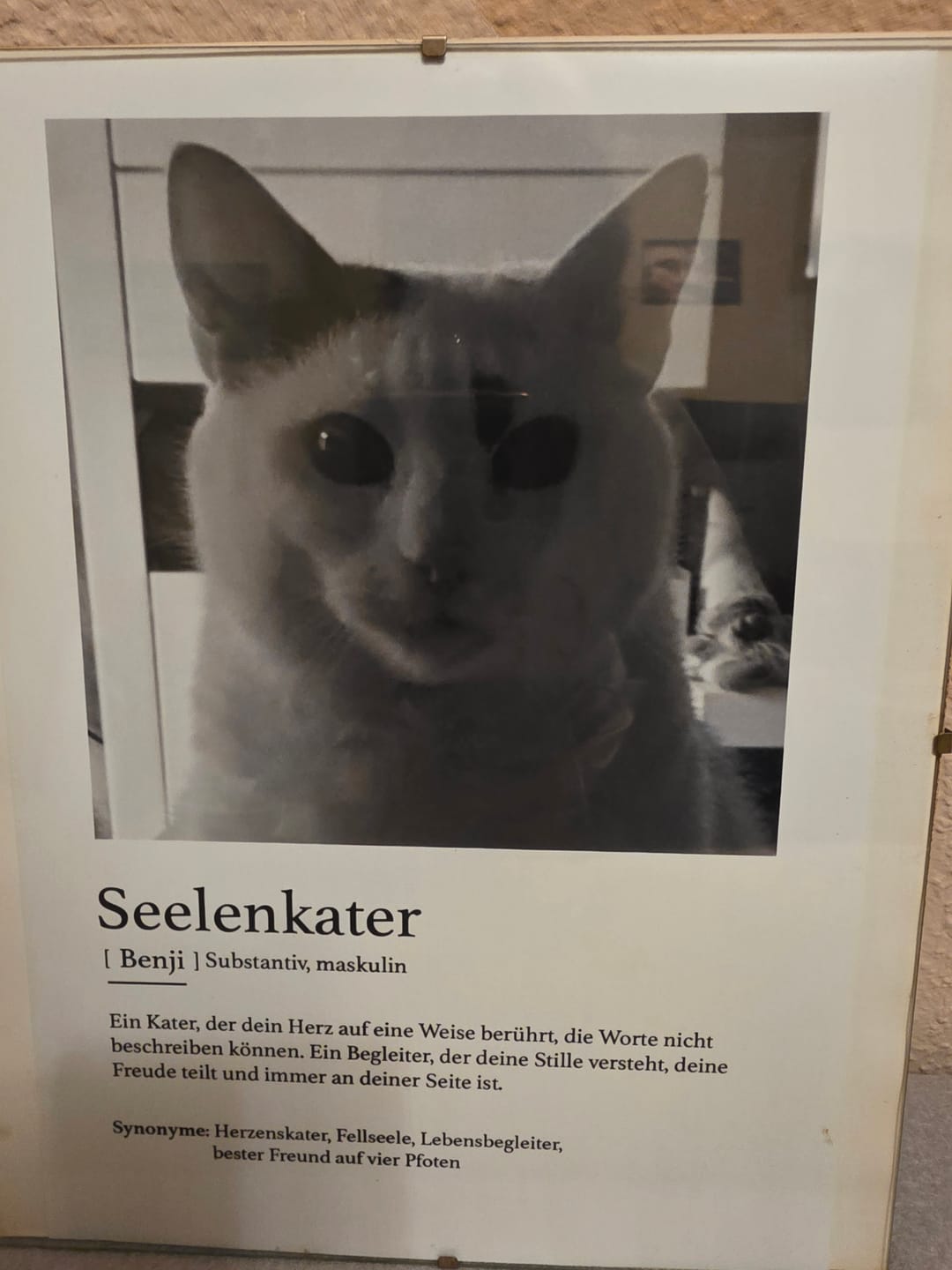 Customer photo review of Definition Seelentier - Individuelles Poster