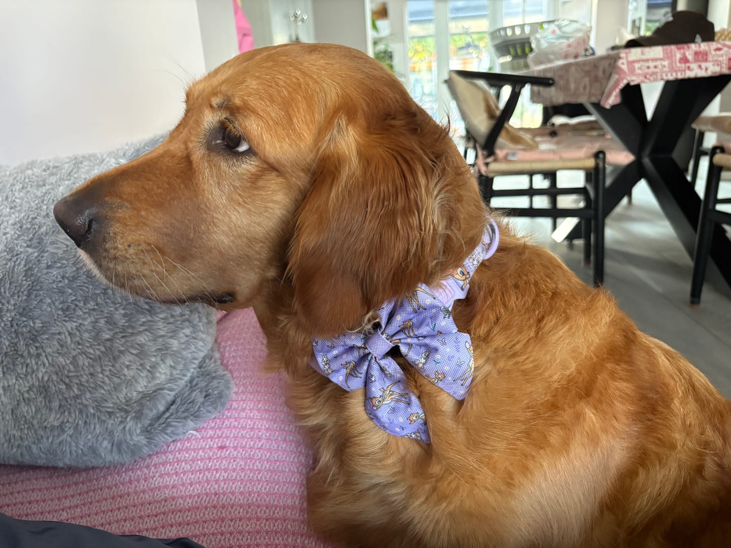 Customer photo review of Disney© Sailor Bow Tie - Bambi + Friends Lilac