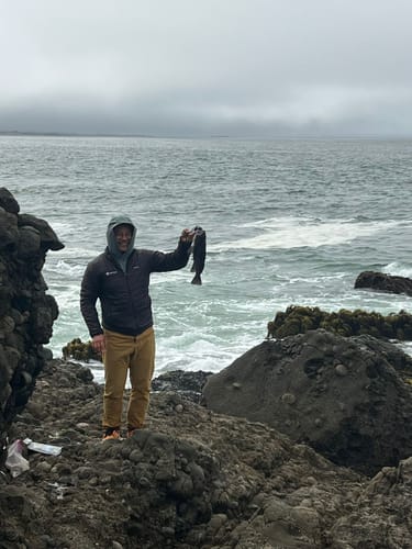 Customer photo review of Cable Baiter 5 Pack W/ Nails: WIRE SALMON SLAYER Fisherman's Life®