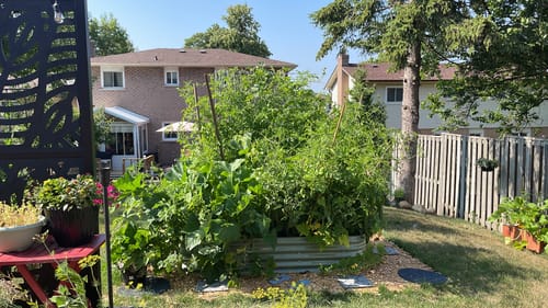 Customer photo review of 17” Tall Modular 9 in 1