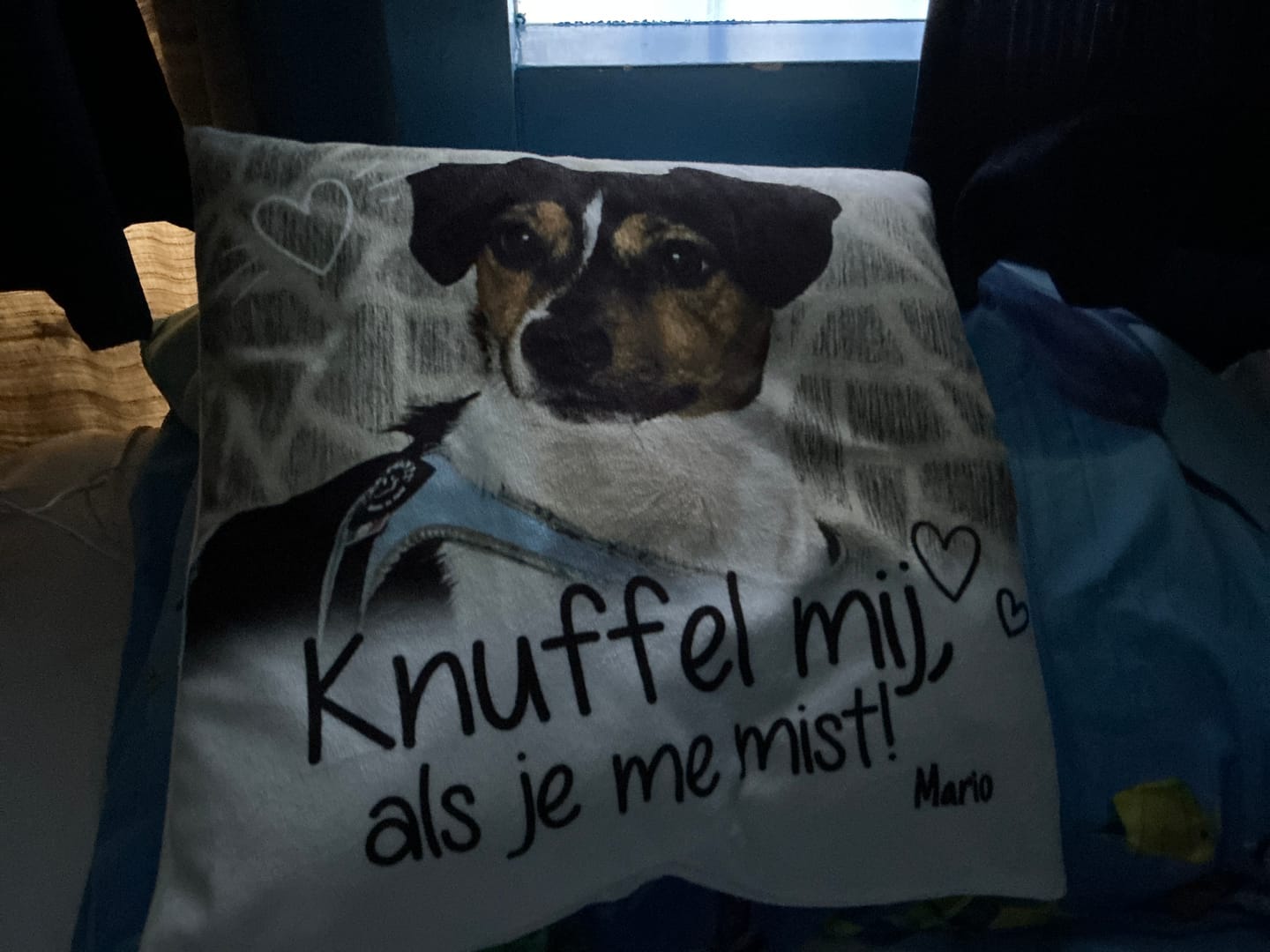 Customer photo review of Knuffel mij als je me mist - Gepersonaliseerde kussen