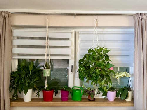 Customer photo review of Aufsatzfensterbank Eiche