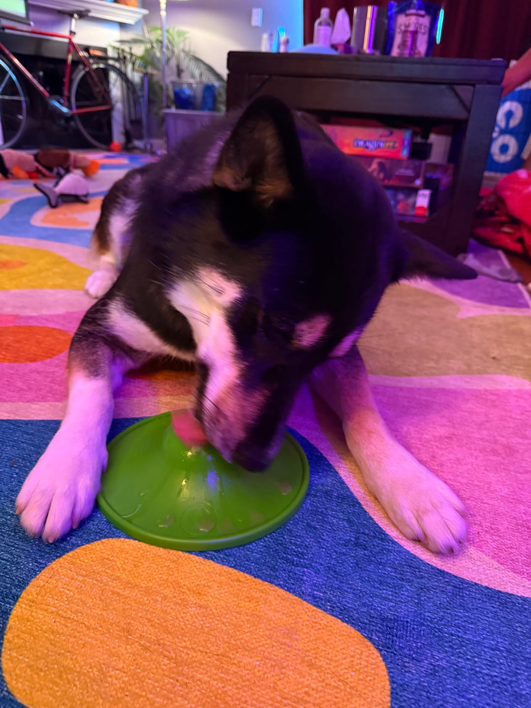 Customer photo review of Soothing Saucer