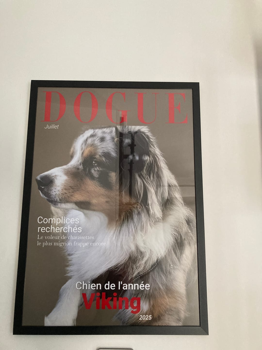 Customer photo review of Dogue - Poster personnalisé