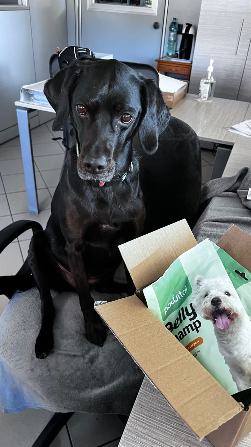Customer photo review of Belly Champ