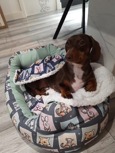 Customer photo review of Disney© Dog Bed - Winnie + Friends