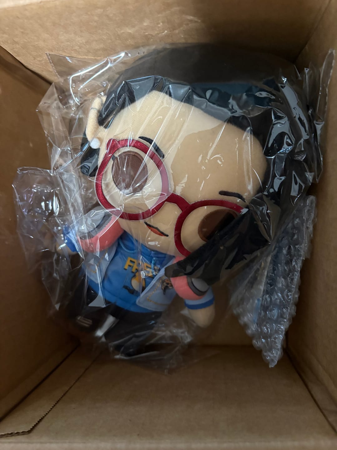Customer photo review of Life is Strange: True Colors - Alex Chen Collector's Plush