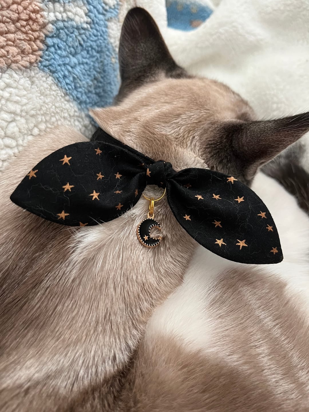 Customer photo review of Black Stars Print Cat Collar with Charm