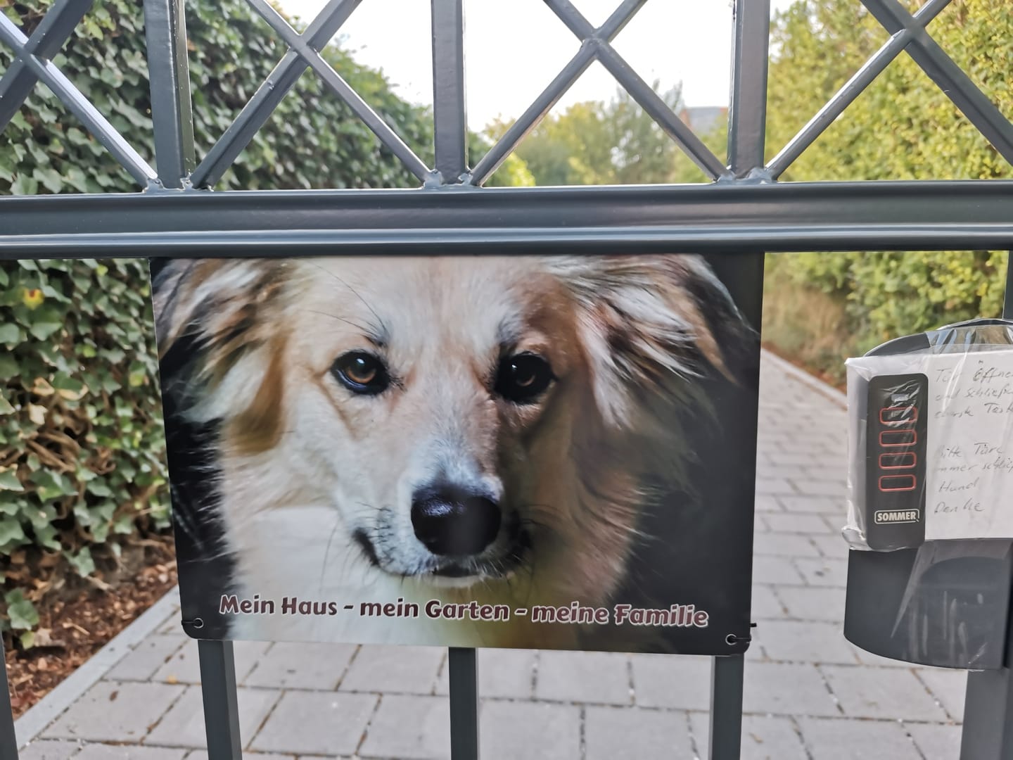 Customer photo review of Hunde-Türschild personalisiert mit Foto & Text (UV- und wetterfest)