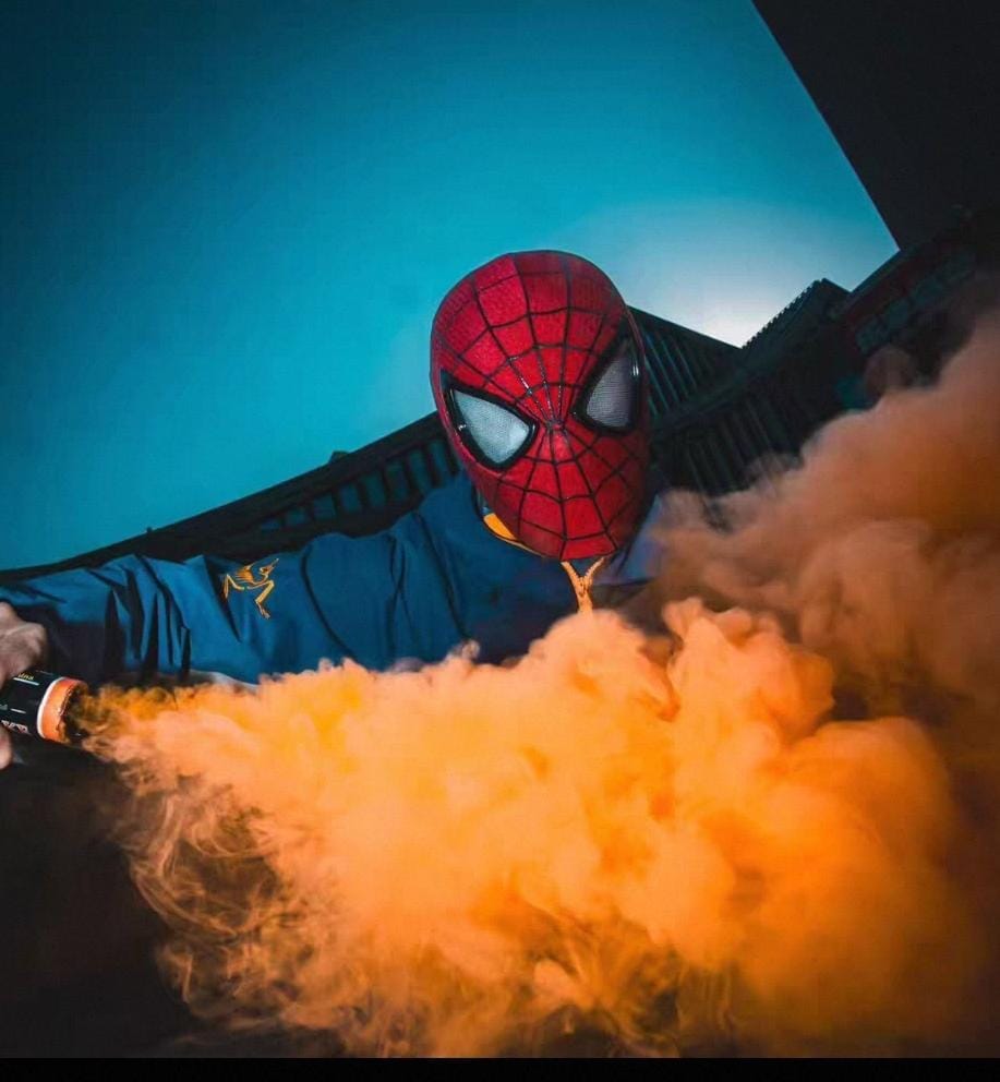 Customer photo review of The Amazing Spider-Man 2 Wearable Mask