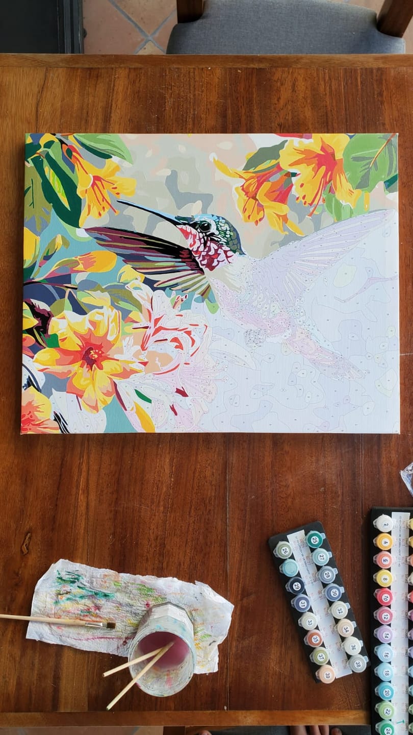 Customer photo review of Hummingbirds Dance