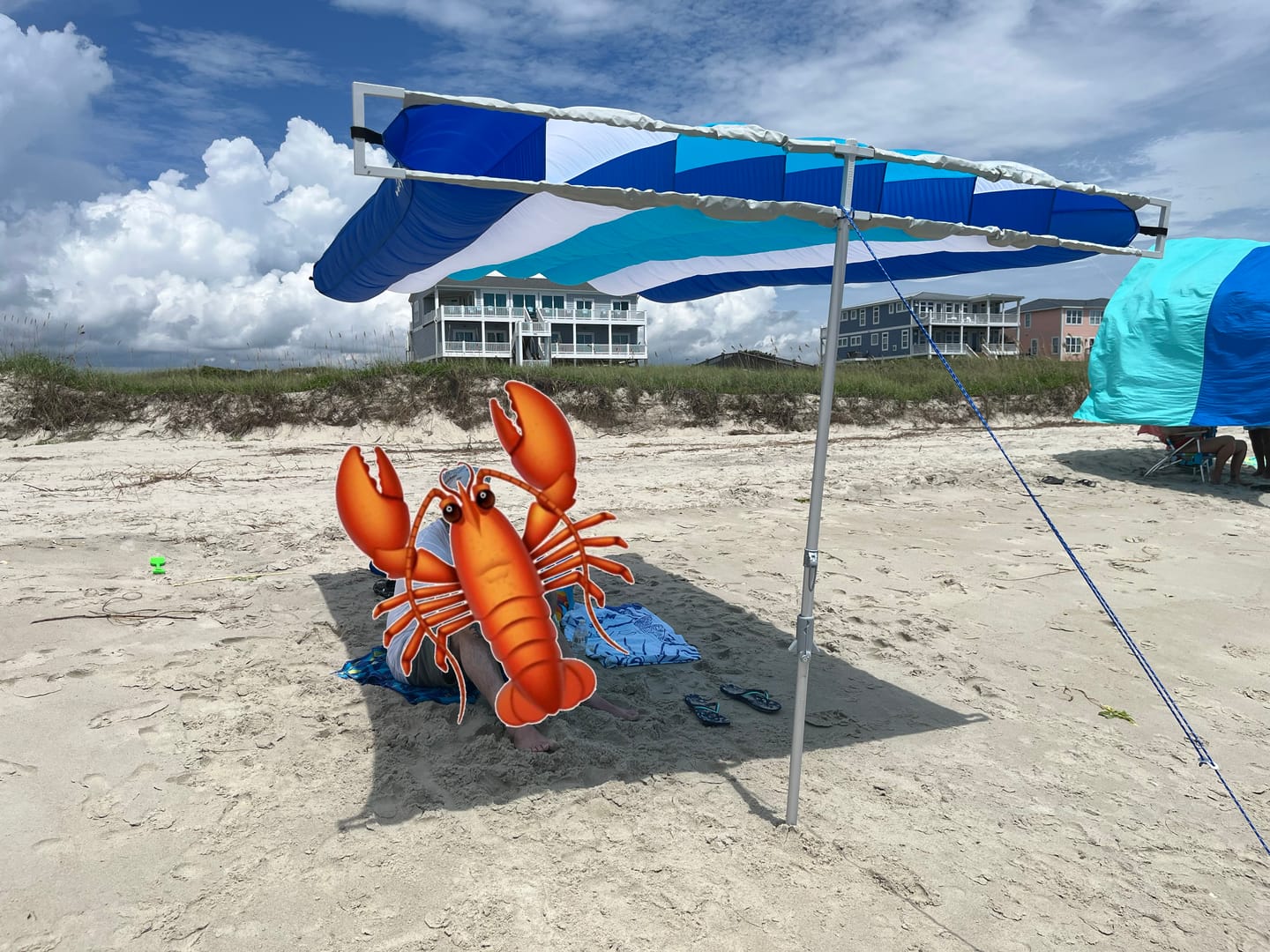 Customer photo review of ShadeSock - Wind-Inflating, Silent Beach Shade