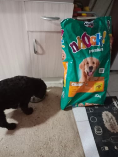 Customer photo review of NHOCK PREMIUM CLASSIC 20 KG PERRO