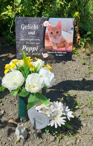 Customer photo review of Katzen Gedenktafel mit Foto & Spruch (UV- & Wetterfest)