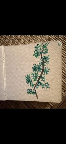 Customer photo review of Tobio's™ Watercolor Kit