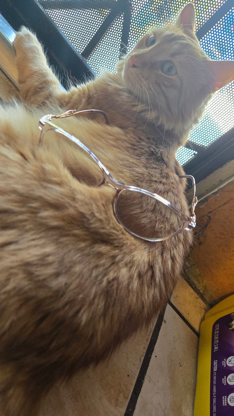 Customer photo review of Tia Eyeglasses