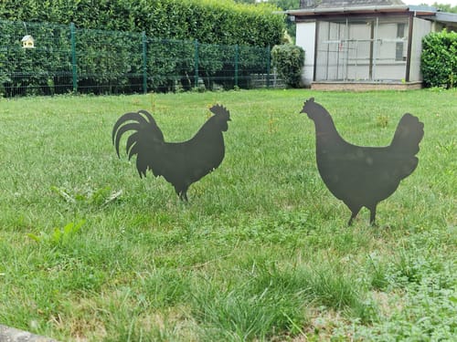 Customer photo review of Gartenstecker Hahn