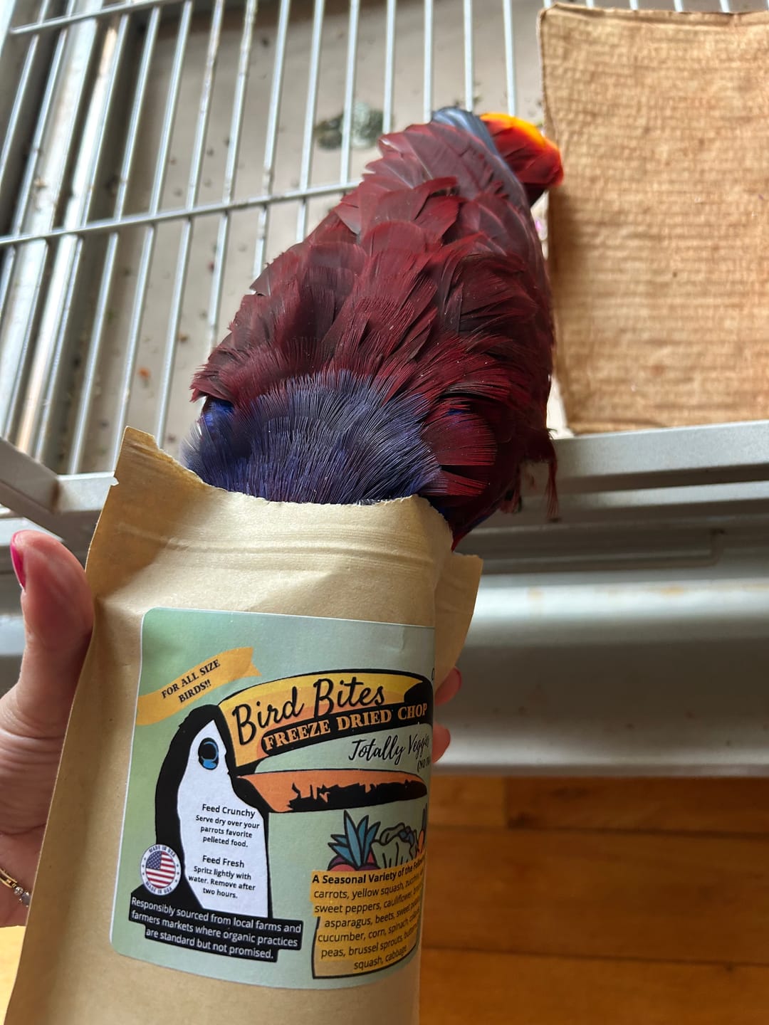 Customer photo review of Bird Bites Freeze Dried Chop - Totally Veggies - No Fruit