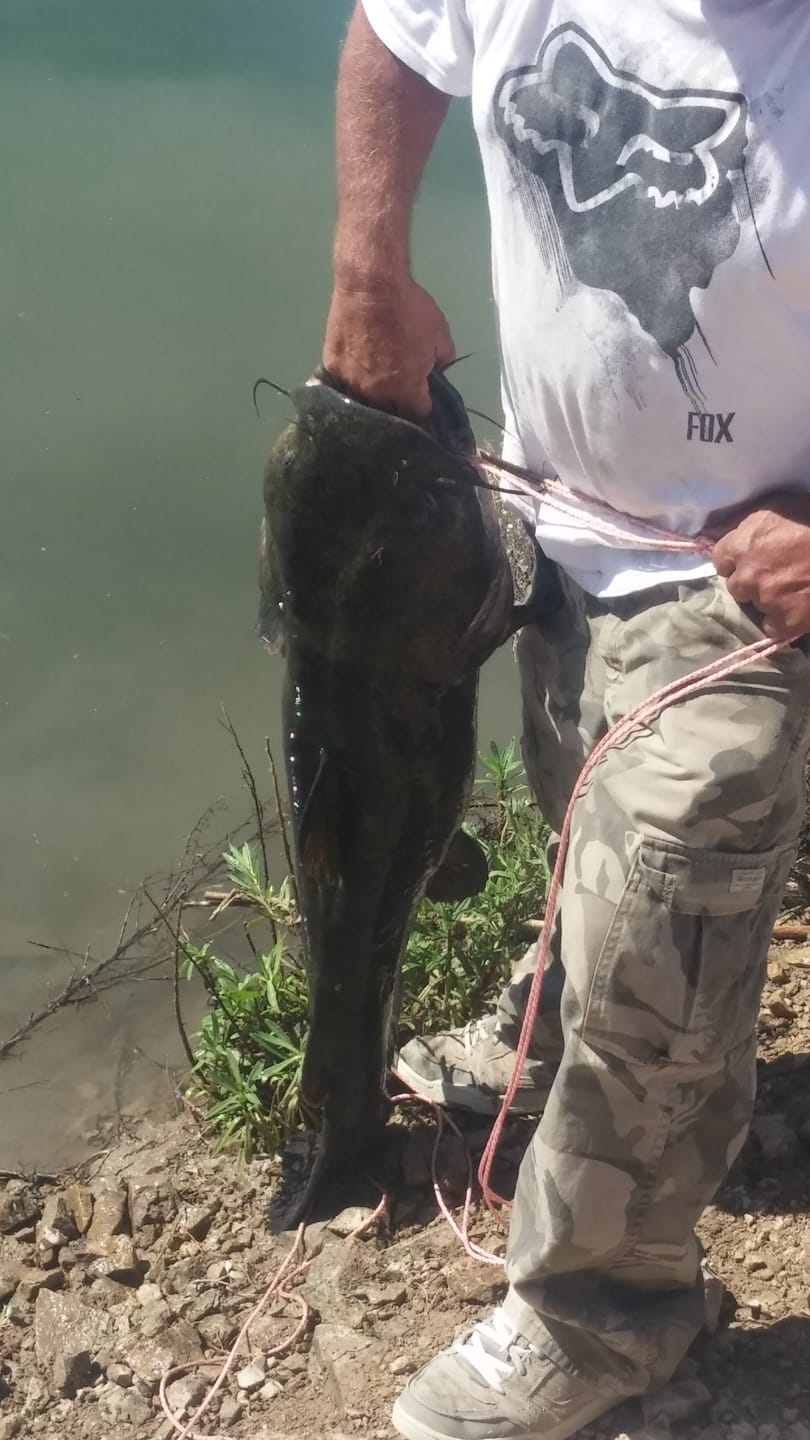 Customer photo review of Moss Camo 300-2000 Yard Spools