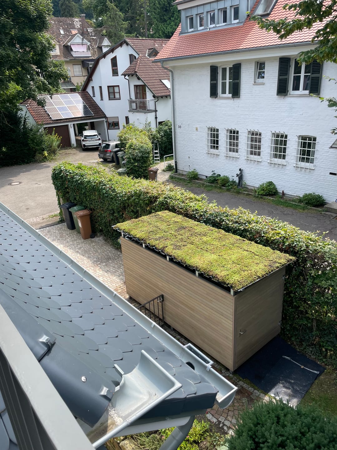 Customer photo review of Sedum-Mix Sedummatten