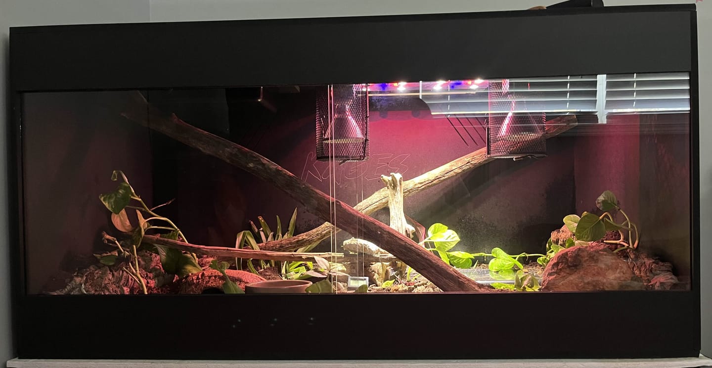 Customer photo review of 48"x24"x24" / 4'x2'x2' Premium PVC Reptile Enclosure