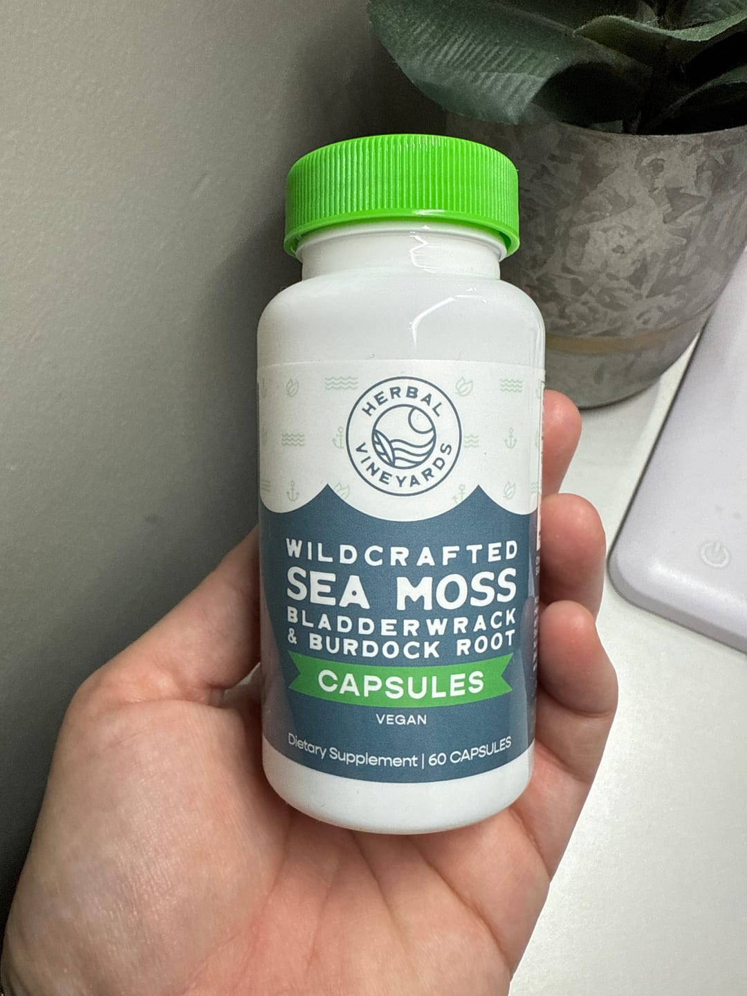Customer photo review of ORGANIC SEA MOSS, BLADDERWRACK & BURDOCK ROOT VEGETABLE CAPSULES (1500 MG) - 60 Capsules