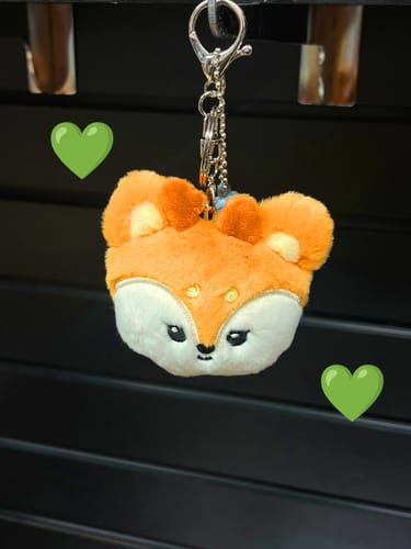 Customer photo review of SEVENTEEN MINITEEN FACE PLUSH KEYRING