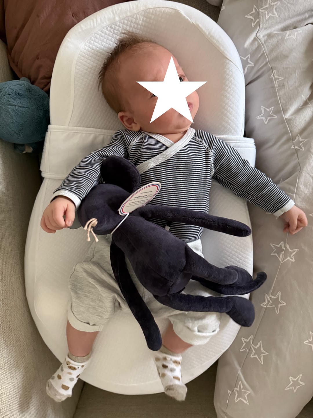 Customer photo review of HECTOR LE RAT - M