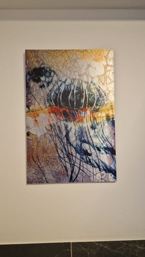 Customer photo review of Aluminiumbild gebürstet | Quallen | Hochformat