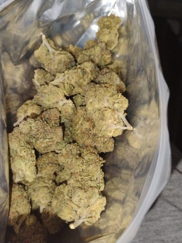 Customer photo review of Cheap THCA Flower Ounce