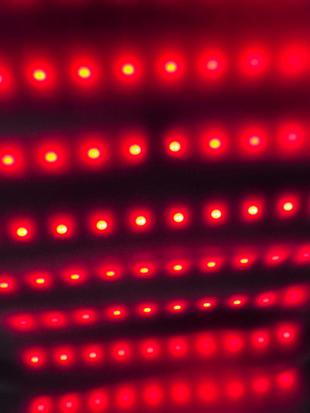 Customer photo review of Lumyhealth Multi-Spectrum Red Light Therapy Pad