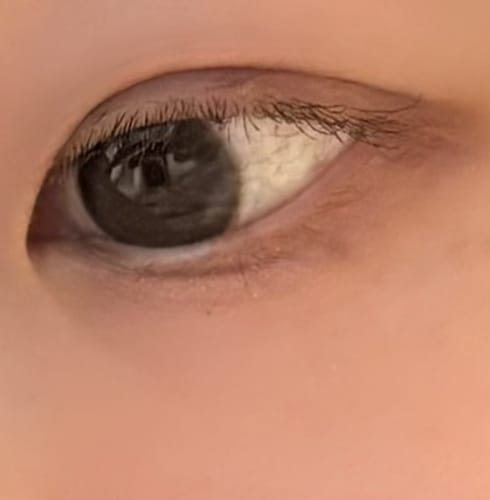 Customer photo review of Bean Kristin - 冰滴棕