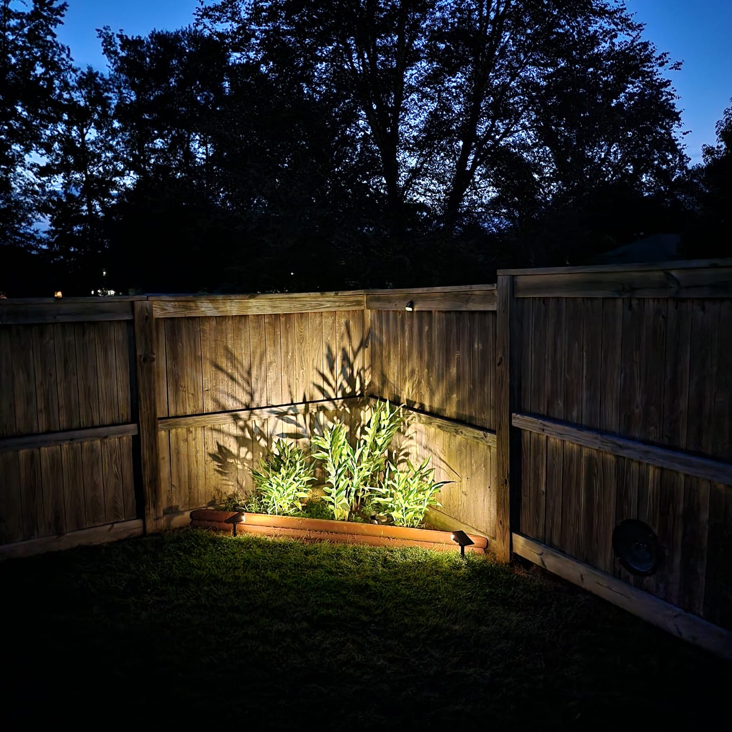 Customer photo review of Warm White Solar Spotlights 20 LED For Garden