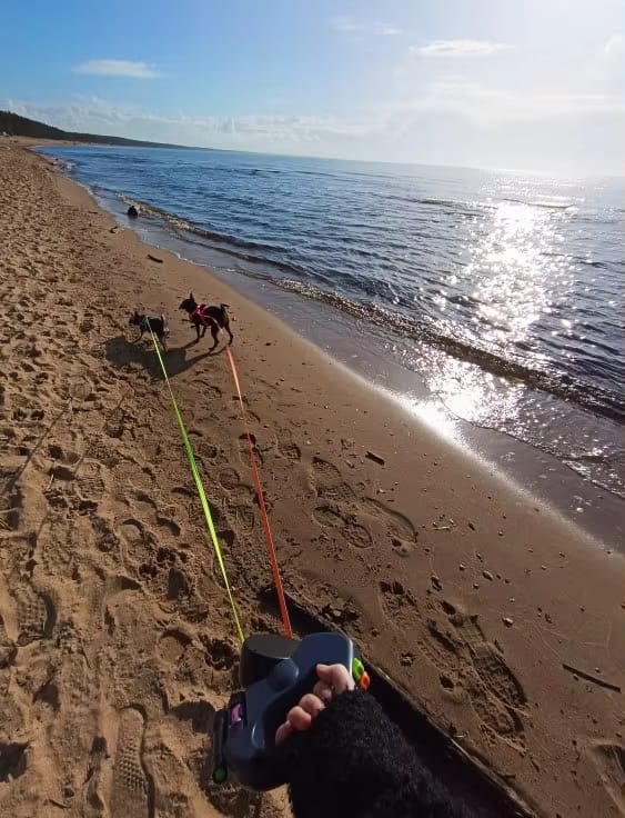 Customer photo review of DualLeash - Nooit meer in de knoop met je hondenriem!