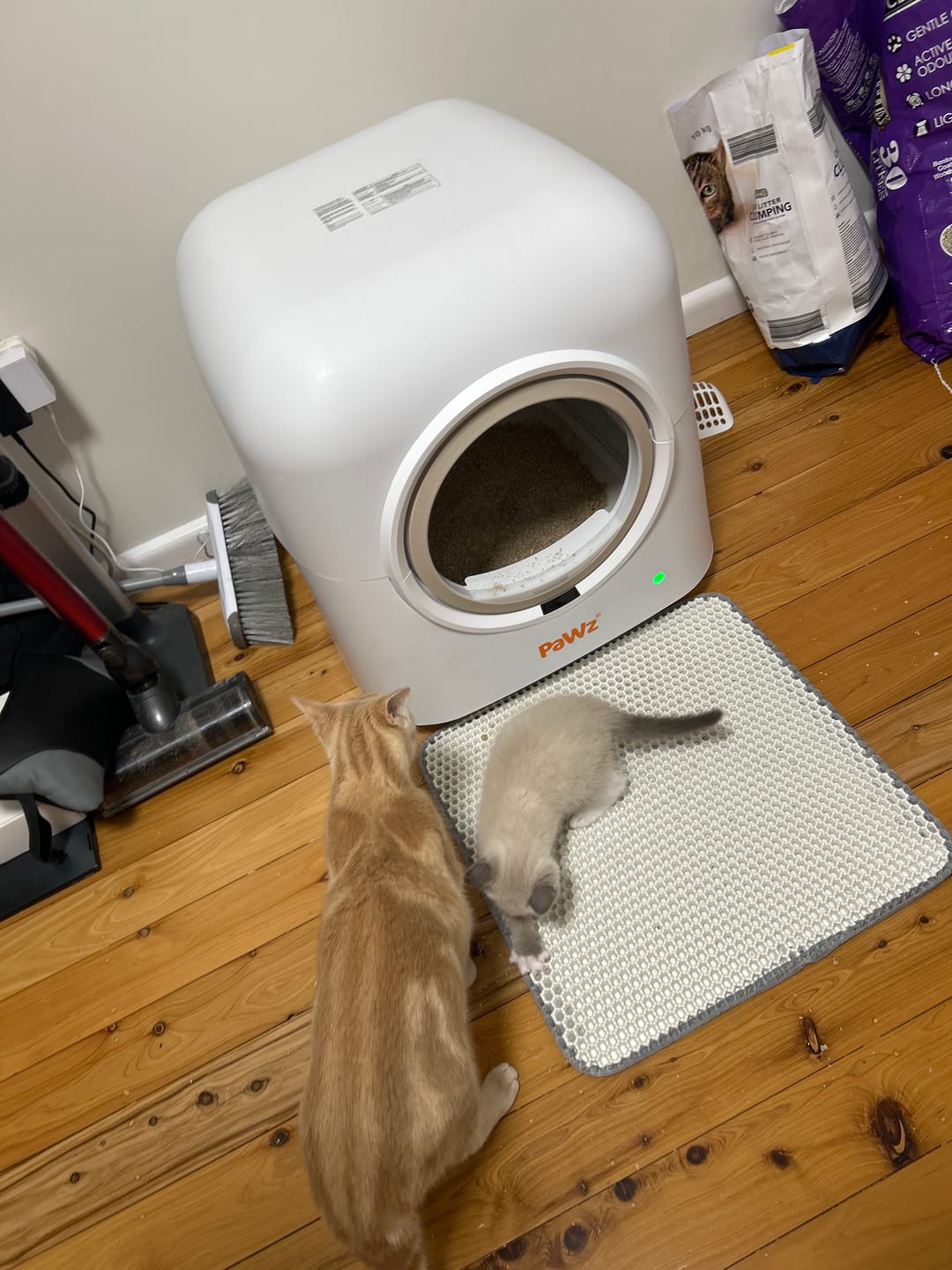 Customer photo review of AutoClean Pro Automatic Self Cleaning Cat Litter Box