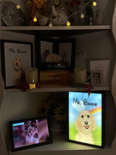 Customer photo review of Custom Pet Light Box Art
