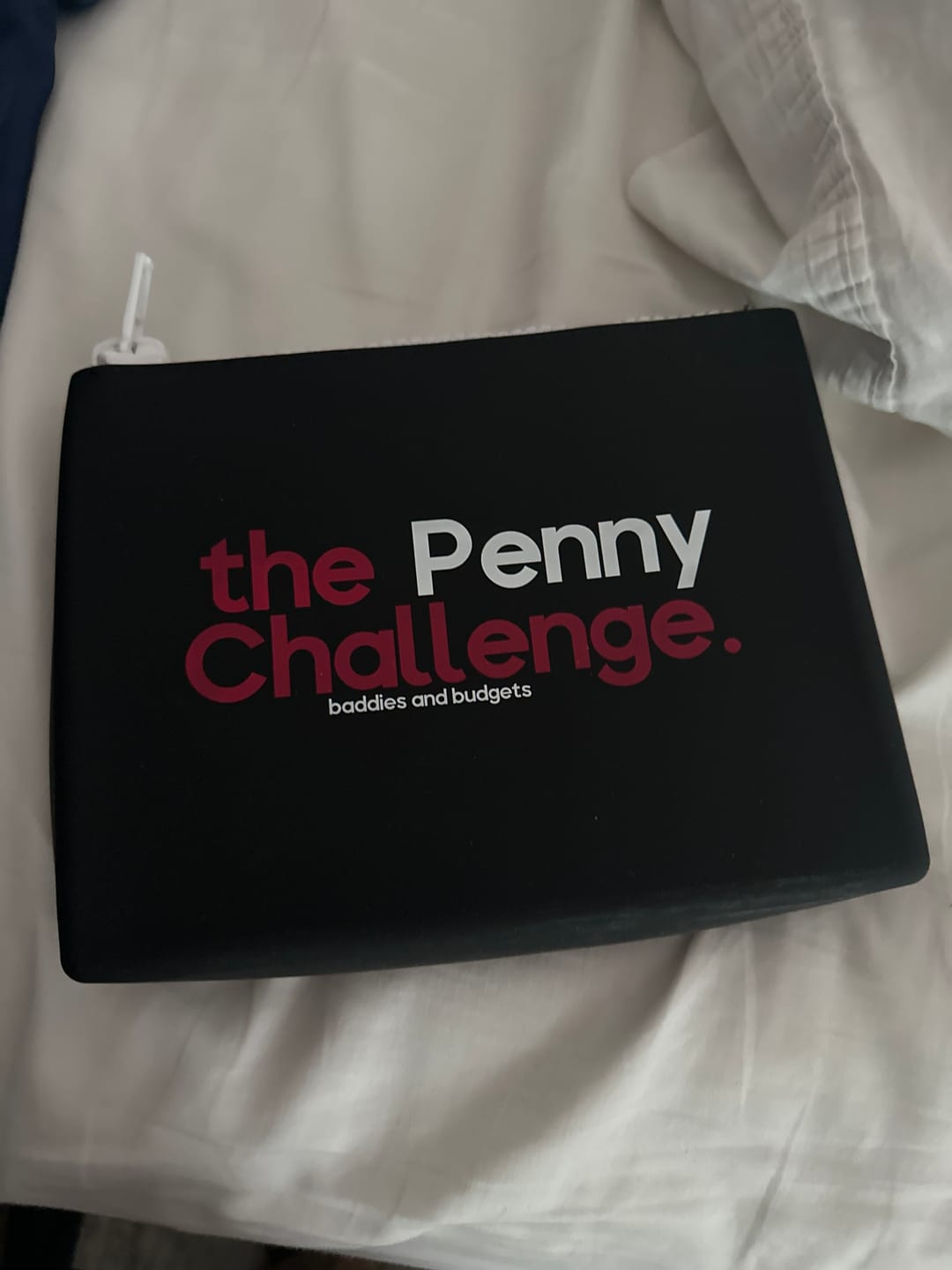 Customer photo review of The Penny Challenge