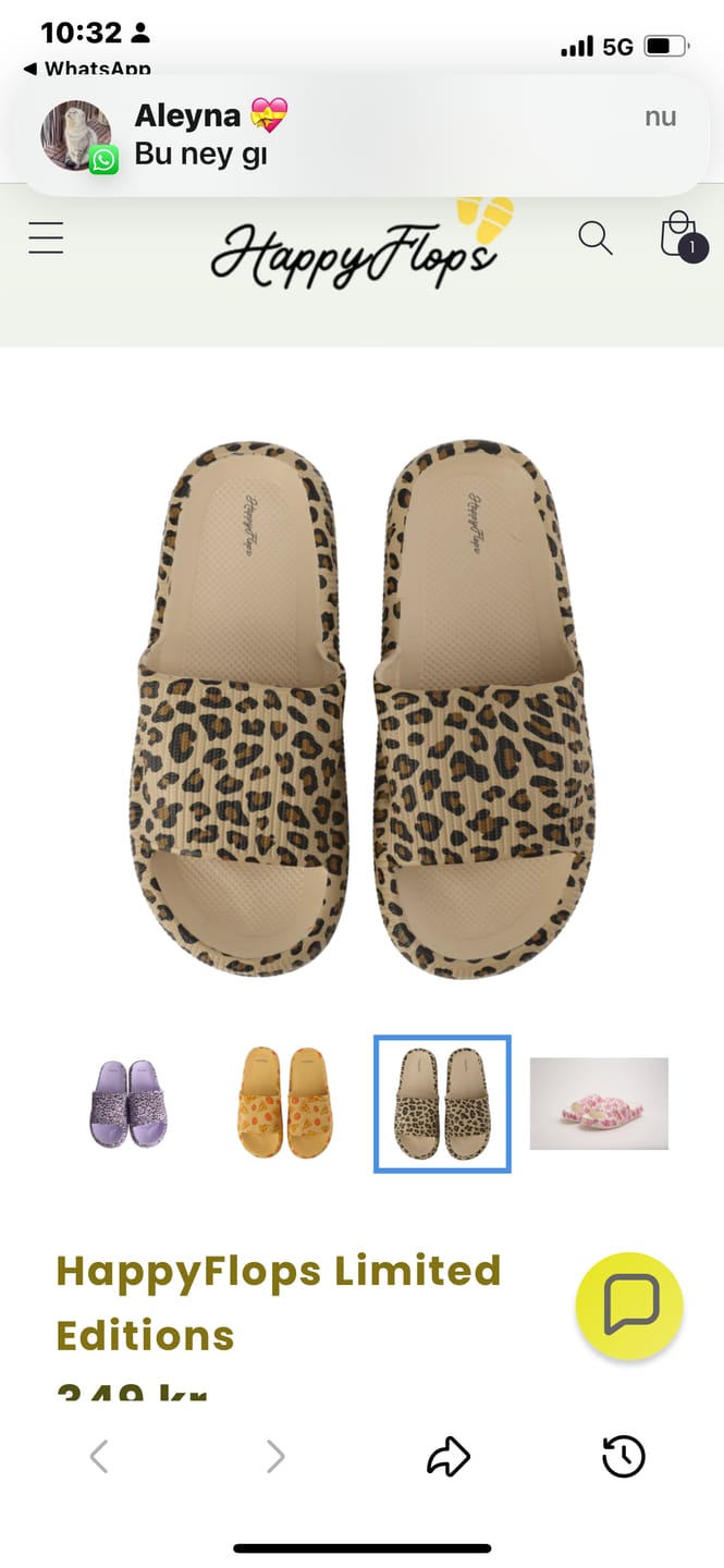 Customer photo review of HappyFlops Limited Editions