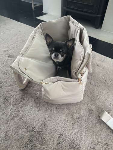 Customer photo review of Hazelnut┃The Puffer Carrier