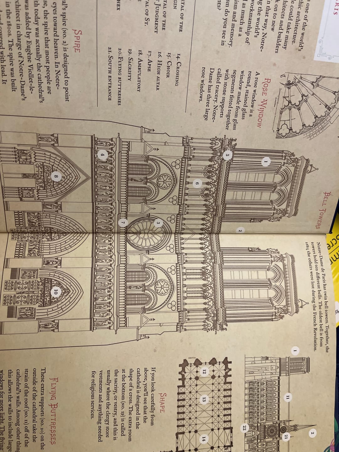 Customer photo review of The Girl and the Cathedral: The Story of Notre Dame de Paris