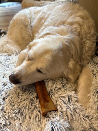 Customer photo review of Erik's Mystery Treat or Chew