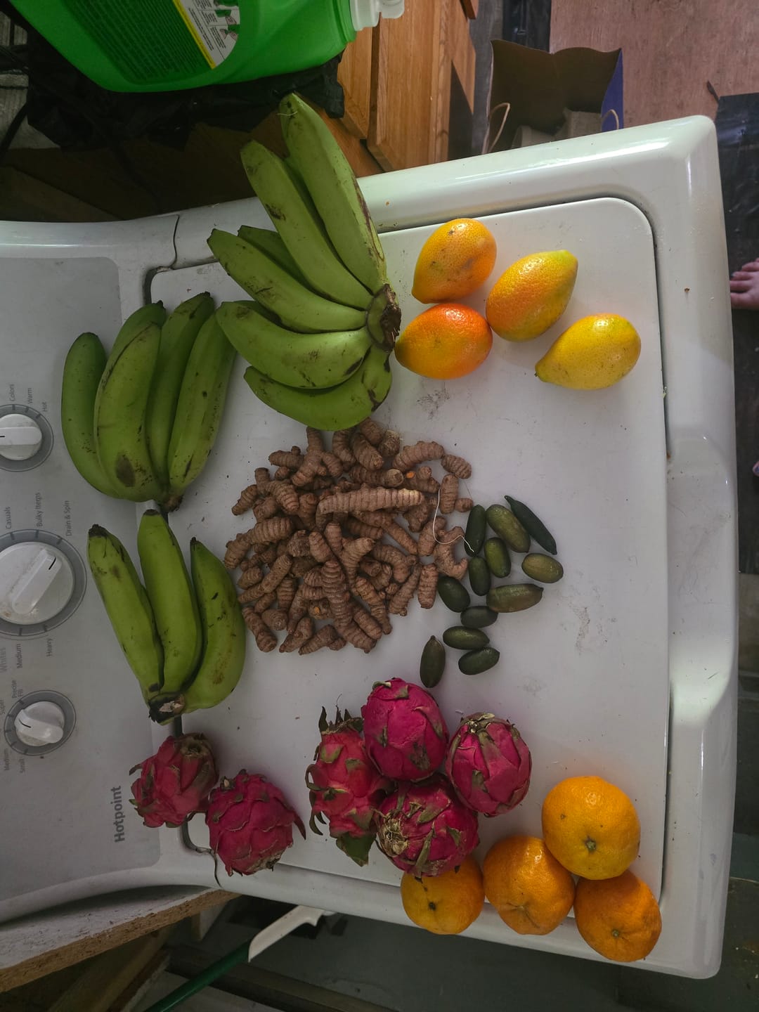 Customer photo review of Build Your Own Tropical Fruit Box