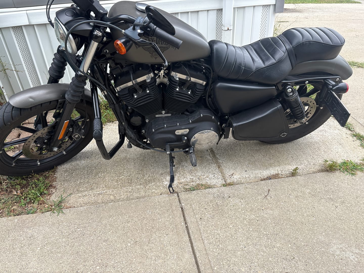 Customer photo review of 3L - Sprinter Harley Sportster Motorcycle Swing Arm Bag