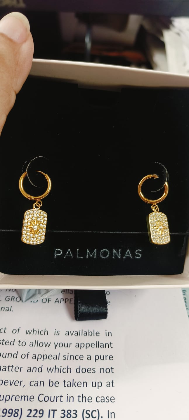 Customer photo review of Stones Sparkle Dangle Earrings