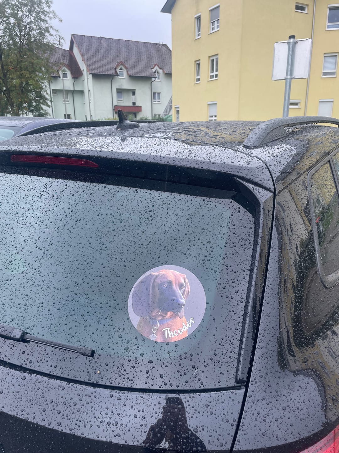 Customer photo review of Dein Foto - Individueller Autoaufkleber