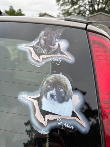 Customer photo review of Personalized Pet lover Crack Car Sticker