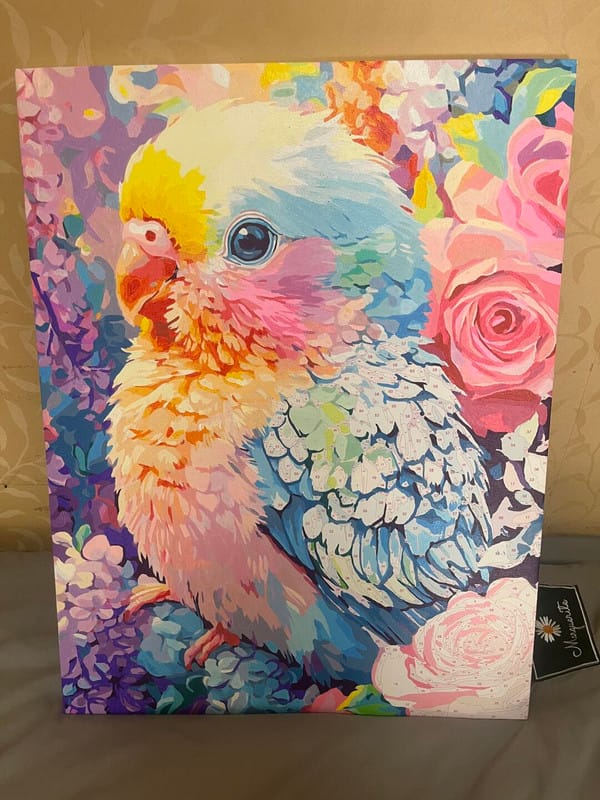 Customer photo review of A Colorful Parrot