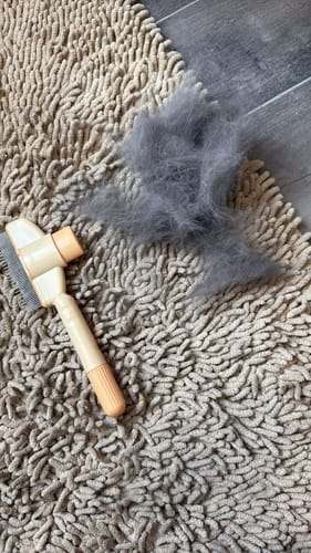 Customer photo review of Fellblitz-Bürste